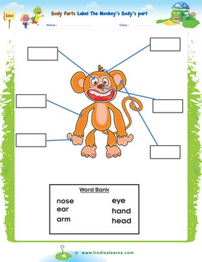 Body Parts Vocabulary, Teach beginner English Learners, ESL Kids Lesson